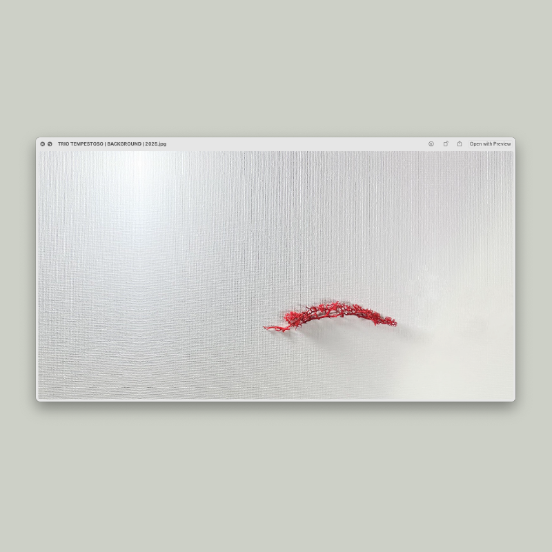 TRIO TEMPESTOSO | PORTFOLIO FILES | 2026 | 11